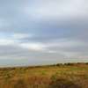 Parcelle de 18 hectares à vendre thumb 8