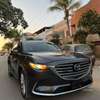 Cx9 signature thumb 2
