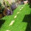 Horticulture thumb 11