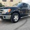 Je vends ma Ford F150 XLT 2014 V6 éco boost thumb 2