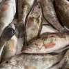 FRUITS DE MER ET POISSONS thumb 2