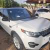 Land Rover Discovery thumb 0
