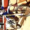 YAMAHA WRF 250 thumb 2