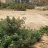 Terrains a vendre a Keur Ndiaye Lo thumb 1
