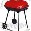 Barbecue de charbon thumb 0