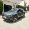 C4 cactus thumb 2