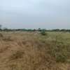 21 hectares à vendre à sindia entre Nguekhokh et Ngerigne thumb 7