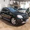 Mercedes ml350 2007 thumb 1