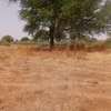 Terrain Agricole de 2,07 Hectares vers Tassette – Thiès thumb 4