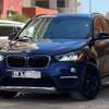BMW X1 2017 thumb 8