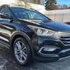 Hyundai santafe thumb 1