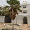 3 VILLAS DE GRAND STANDING R+2 A LOUER thumb 1