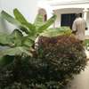 VILLA A LOUER A MERMOZ thumb 5