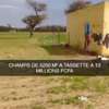 Champs de 5.500m² à Tassette à vendre thumb 12