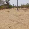 Verger 3ha à vendre à Ndianda Ngeuniène sur la route de joal thumb 5