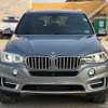 BMW X5 2018 thumb 0