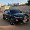 Hyundai Santafe 2019 thumb 11