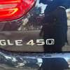 GLE 450 thumb 0