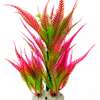 Plante thumb 1
