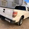ford F150 thumb 6
