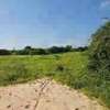 CHAMP DE +43.000 M2 BAYAKH thumb 11