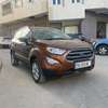 Ford 2019 Walter thumb 5