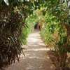 VILLA A VENDRE A NGAPAROU thumb 0