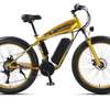 vélo électrique thumb 1