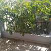 villa louer mamelle thumb 2