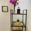Cosy appartement F3 meublé Mamelles thumb 11