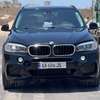 Bmw x5 thumb 2