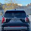Hyundai palisade thumb 1
