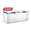 CONGELATEUR 900LITRES SMART TECHNOLOGY HORIZONTAL thumb 1