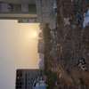 Terrain Almadie Boa thumb 12