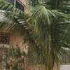 Villa cité siga Almadies 2 thumb 0