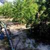 Ferme agricole à vendre à Darou koudoss thumb 3