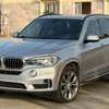 BMW X5 thumb 1