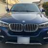 BMW X4 Xdrive28i thumb 0
