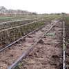 Parcelle de 18 hectares à vendre entre Thiès et Sindia thumb 3