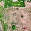 Terrains de 1000 m² à vendre à Saly thumb 7