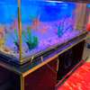 Très jolie et  grand Aquarium de 250 Litres et 1m50 de long thumb 5