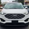 FORD EDGE TITANIUM 2019 thumb 0