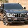 BMW X4 Xdrive 20d 2021 thumb 8