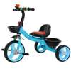 tricycles pour enfant de 1 à 4 ans thumb 0