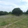 5 hectares à vendre entre Saou et Diambalo thumb 7