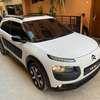C4 cactus thumb 14