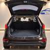 Hyundai Santa Fe diesel hors série thumb 7