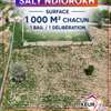 Terrains de 1000 m² à vendre à Saly thumb 0