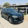 BMW X1 2018 thumb 12