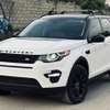 Range Rover discovery thumb 5